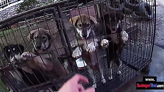 Amateur Asian teen GF sucks their way boyfriends big dick back approximately the hotel