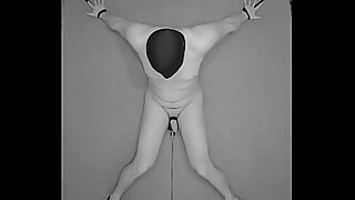 1 HOUR Testicles Electrostimulation MO  modus operandi