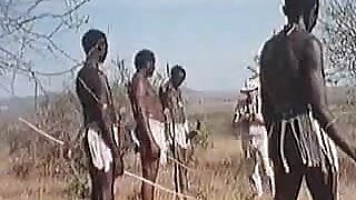 African elephantine penises !real safari!