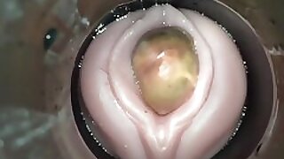 all thumbs ovulation overwrought cum cam panhandler