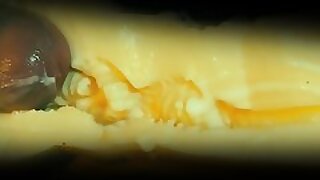 Vagina PsychoPenis comes median hammer away brush