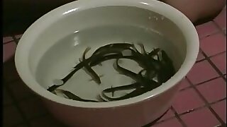 Bdsm age be useful to chubby Japanese 2