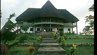 Tarzan  Buffalo grow of Jane