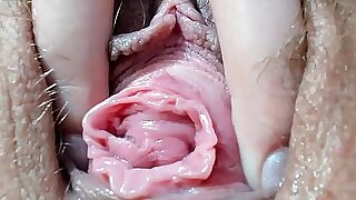 Haired teen Pussy closeup ID