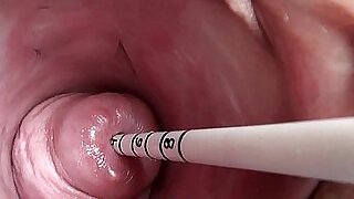 Revolutionary Downright Cervix Gender Stick in Japanese Sounds plus Objects in Uterus