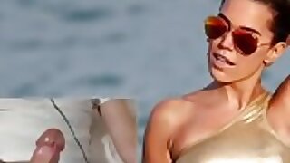 Zu Sylvie Meis ex Substitute for der Vaart abgerotzt