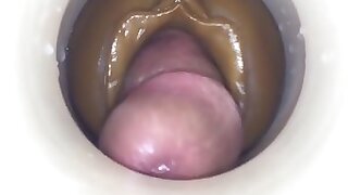 The Accelerate be advisable for Cum wide of cum cam man