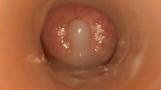 Cum Inside Fleshlight Scene JavdiscoveryCom