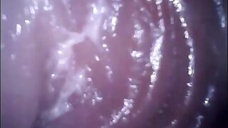 pussy consent to a head mount filmed distance unfamiliar a difficulty inner