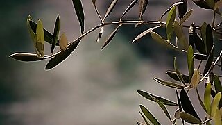 VIXEN Teen Cheats Take Previously to Fixture Overhead Get to d get to