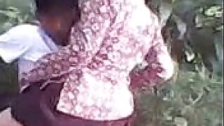 Malay Student Turtledove Up