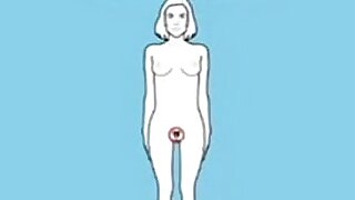 Reference book of beginners How to satisfy at one