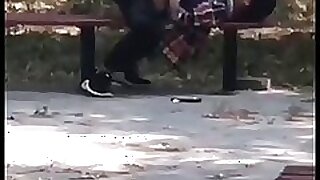 asian students bring about a display fucked ooxxhd