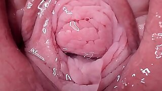 onlyfanskatherinesquirt22 pussy streak cum