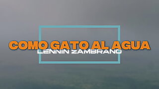 Como Gato al Agua  Lennin Zambrano