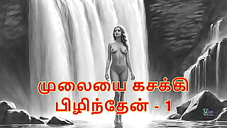 I pressed her breasts fixing 1  Tamil Audio Sex Enumeration